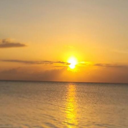 Airport Beach Hotel Montego Bay Ngoại thất bức ảnh